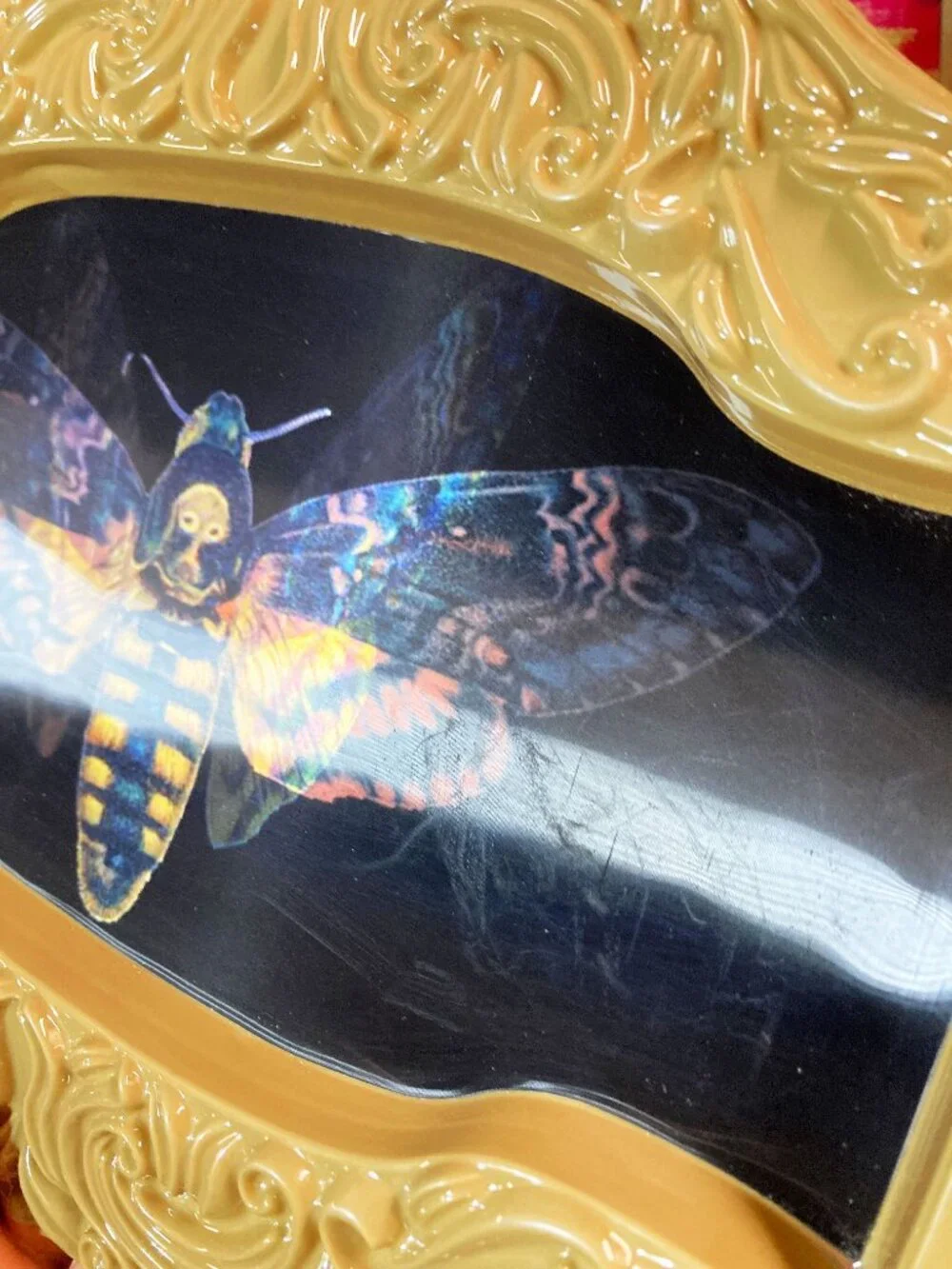 (1) DARK MOTH CHANGING PICTURE WALL ART GOTH EMO ACADEMIA
